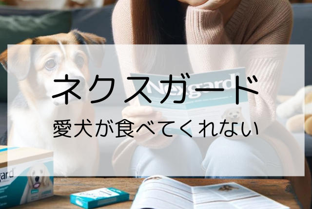 ネクスガードを食べない犬向け！おススメの解決策をお教えします